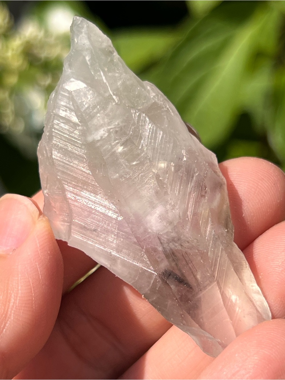 Green (1) quartz point | crystal